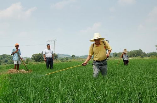 代理记账